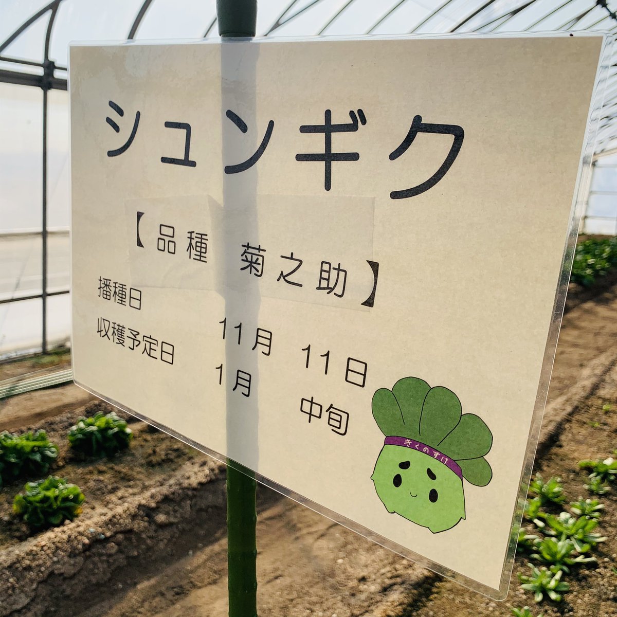 高校 高松 農業 岡山県立高松農業高校 入試情報