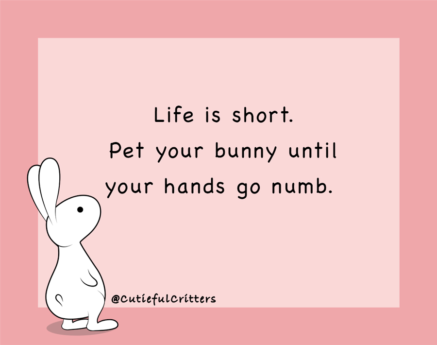 Bunny advice 😁
*
*
#BunnyAdvice #spoiledbunny #lifewithbunnies #livingwithbunnies #bunnycomics #bunnylife #bunnylove #animalcomics #animalcomic #bunnyrabbit #bunnylover #bunnyart #rabbitart #bunnyillustrations #funnybunny #wisebunny