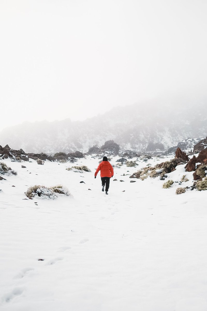 svsogarcia's tweet image. Tenerife en menos de 50 kms