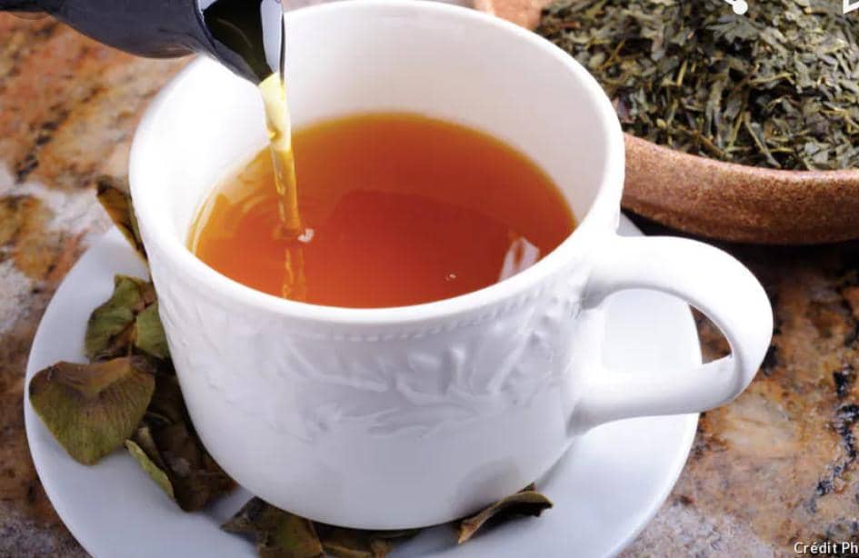 Jeanmichelc08's tweet photo. #Reboiser Haïti
Relancer de la production #café en Haïti, contribuera à diminuer l'érosion des bassins versants et à assurer une l'économie de rente pour de petites exploitations agricoles familiales dans les montagnes.
Thé feuille de café, excellent remède contre l'hypertension. https://t.co/FsOh3fZoTZ