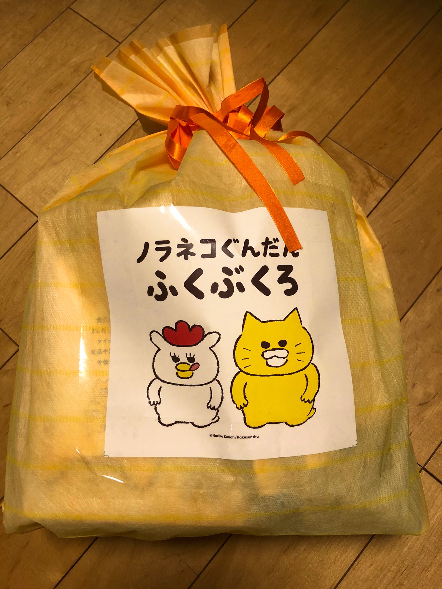 ユウハル 書店パート やったー 届きました ノラネコぐんだん福袋 なんてタイミング ステキな誕生日プレゼントになりました ノラネコぐんだん好きな高三の娘が狙ってるので あとで子どもと一緒に分配します ノラネコぐんだん福袋