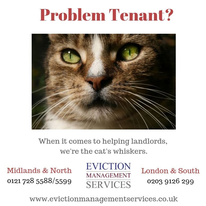 EvictionHelper's tweet image. #problemtenant #tenanteviction #evictatenant #evictionservice