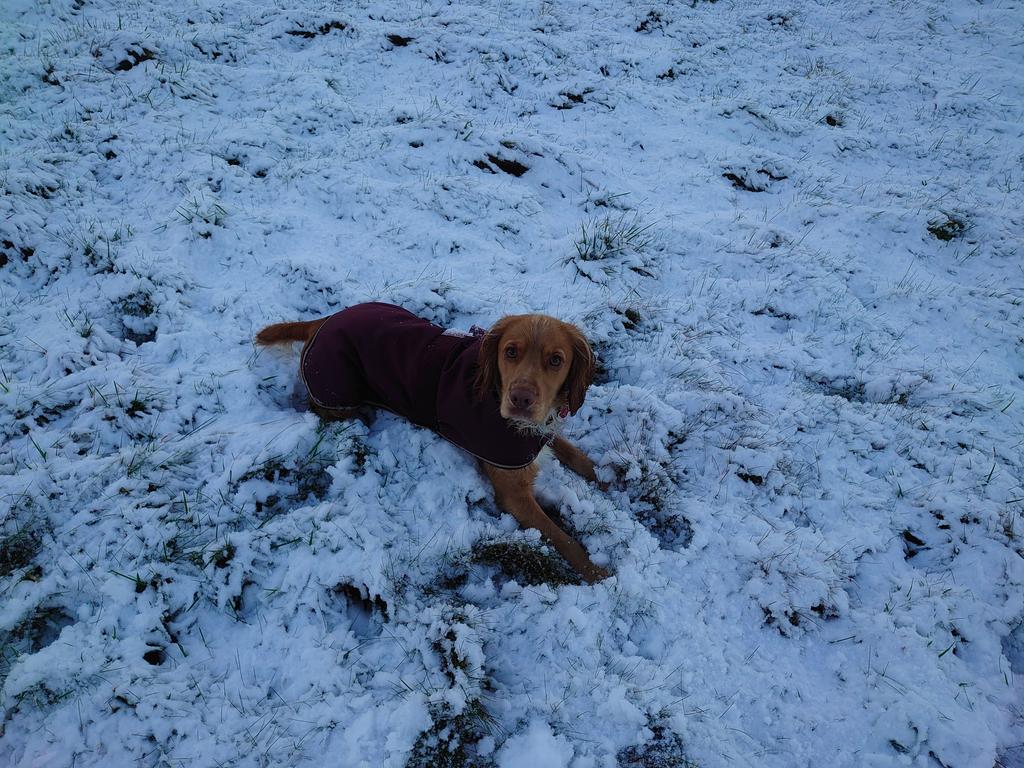 North East Skills Training tweet media