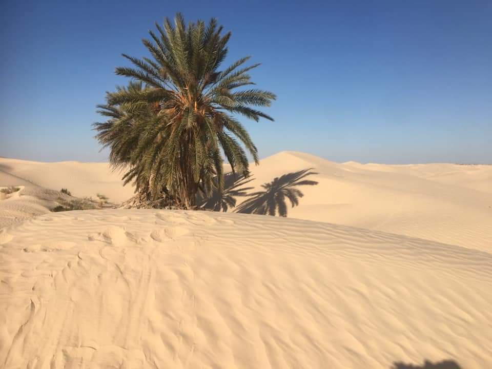 caravaneddesert's tweet photo. Silence et sérénité.... nous en aurions bien besoin....

#Tunisie #sahara #yoga #meditación #confinement https://t.co/FHMgH2mwBj