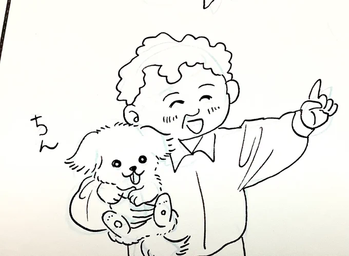 わんだふる 