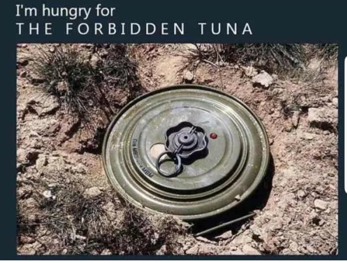 credit - reddit/tsargermo