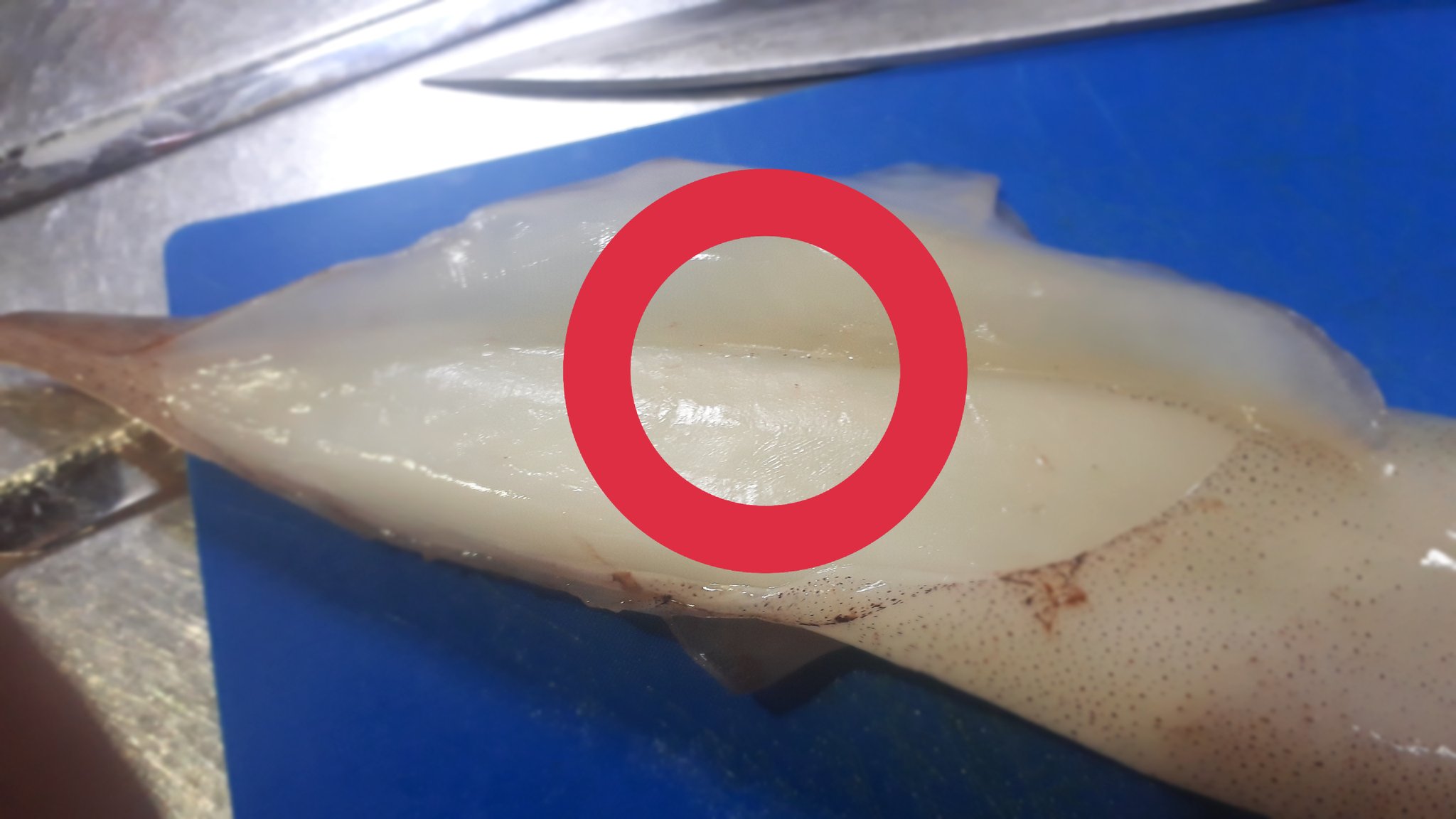 おっかんさん イカの皮むき必勝法 まず包丁は使わないこと イカの耳 と身の間 赤丸部分 に指を突っ込むと 優しくね笑 切れ目が出来るのでそのまま皮を引っ張っていく これで一分もあればムキムキok 皮むき イカ イカの刺身 T Co おっかんさん イカの皮むき必勝法 まず包丁は使わないこと イカの耳 と身の間 赤丸部分 に指を突っ込むと 優しくね笑 切れ目が出来るのでそのまま皮を引っ張っていく これで一分もあればムキムキok 皮むき イカ イカの刺身 T Co