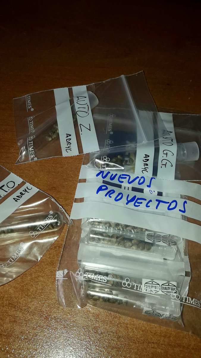 AdrycManellson's tweet photo. El Sol ya se nubló en #AdrycsCove Verde Mundo.
Dónde inicia nuevo Ciclo con #Auditoría @GreenbudSeeds:
#AutoCakeBomb, #AfghanStorm, #BudMaker y #NuevosProyectos #SailingTheGreenSea son.
Se presenta interesante, es el Año de las #Auto sin olvidar las #Fem.
Alegría pues..🧚‍♂️😎 https://t.co/2vXQgGuh7I