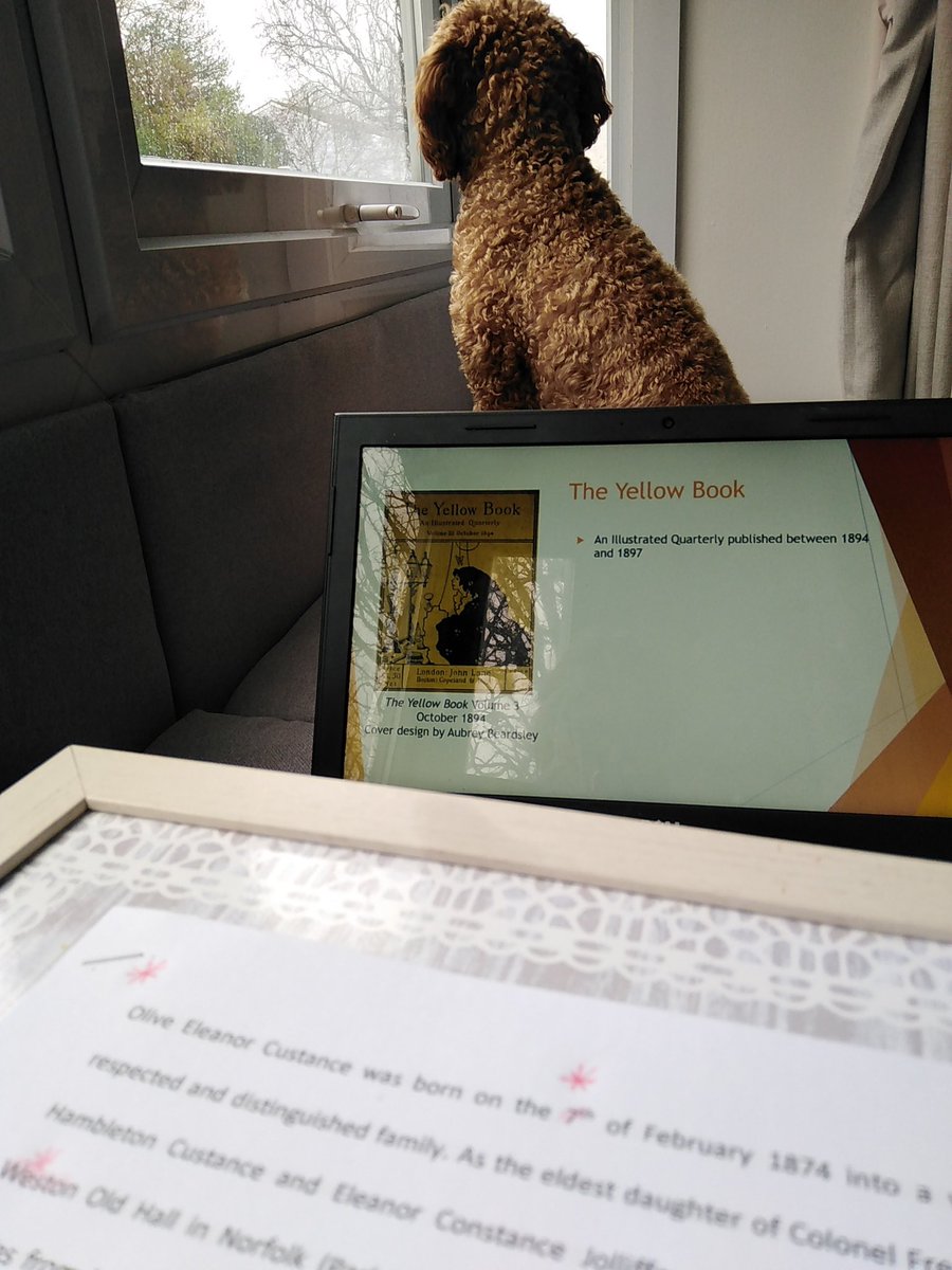 L_WenmanJames's tweet image. Doing the final check on my slides before sending them over ready for @LNCSSGS #GradConference on Saturday! My test audience seems more concerned with what&apos;s outside the window though 🐶🐾