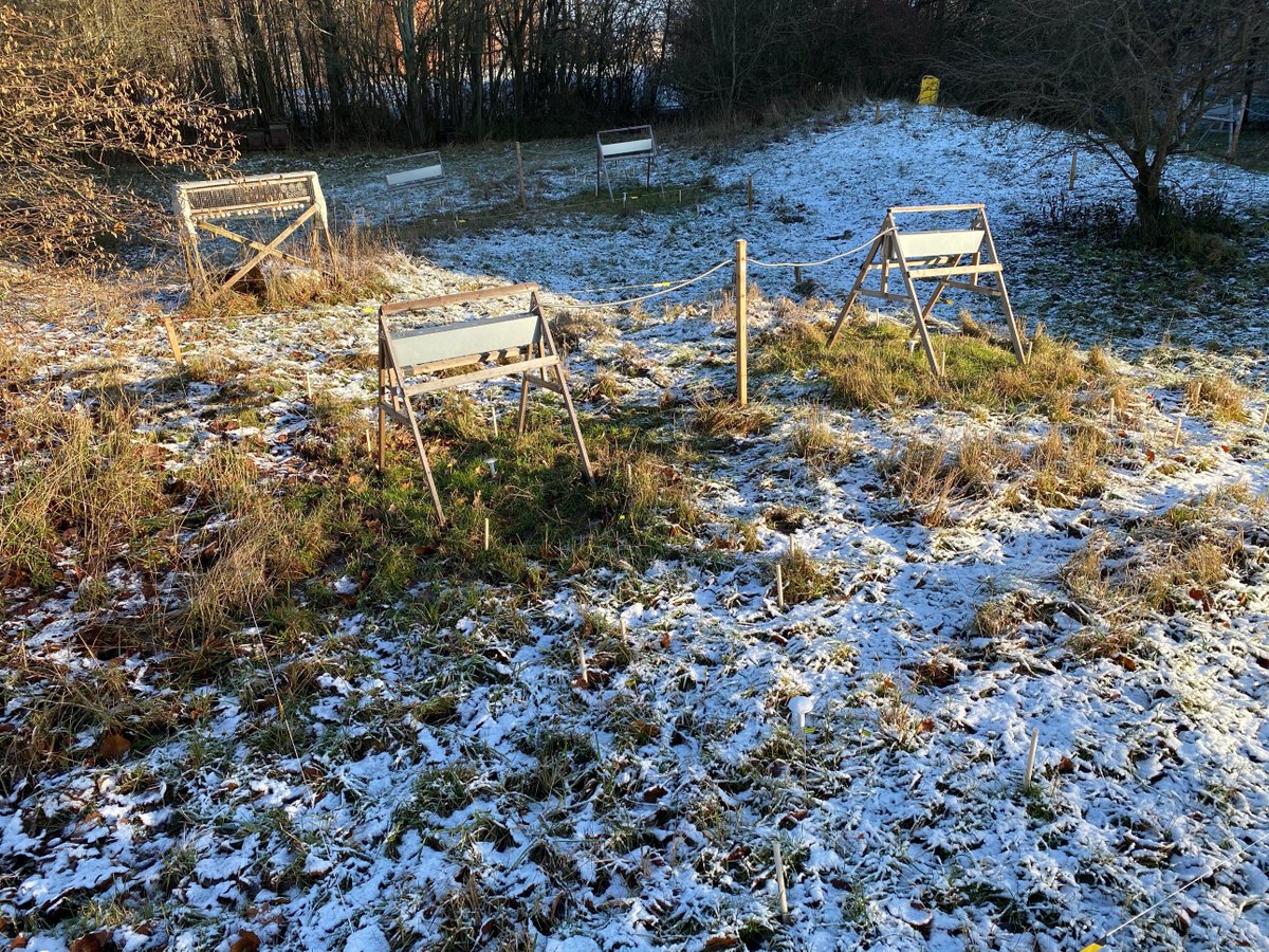 RouskLab's tweet photo. Some days you just know you're doing it right...
#soilwarming #fieldexperiment #urbanecology #soilimicrobes #visualtreatments https://t.co/MWXVcpLBdF