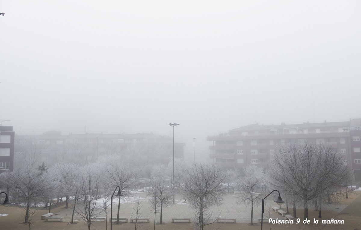 EduClonus's tweet photo. @Estacionla6 Niebla hoy en Palencia que lleva dos días sin levantar. https://t.co/O06Ed7q5sh
