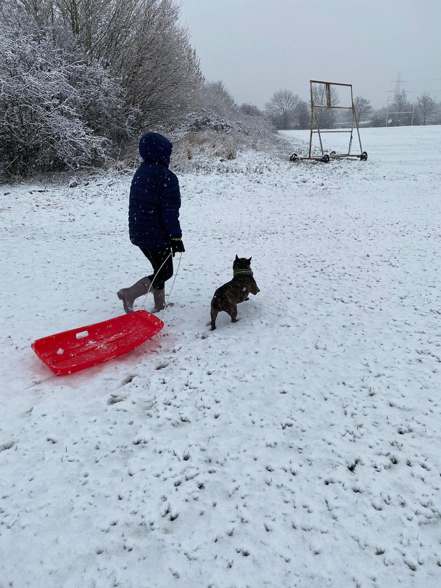 MacChannie's tweet photo. @Newlands_PS poppy is loving the snow . 💙snow day ⛄️ https://t.co/LwsZBtxKcV