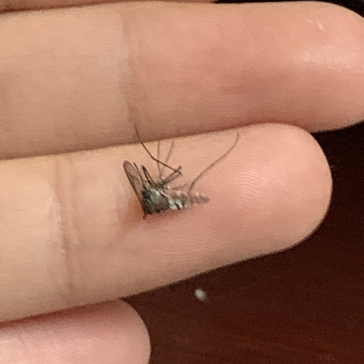 ยัยตัวเล็กคะ เธอก็ใจเย็นๆได้เปล่า เห็นไหมว่าพี่กินข้าวอยู่ หนูอย่าเพิ่งมากวนพี่ตอนนี้ได้ไหมคะ