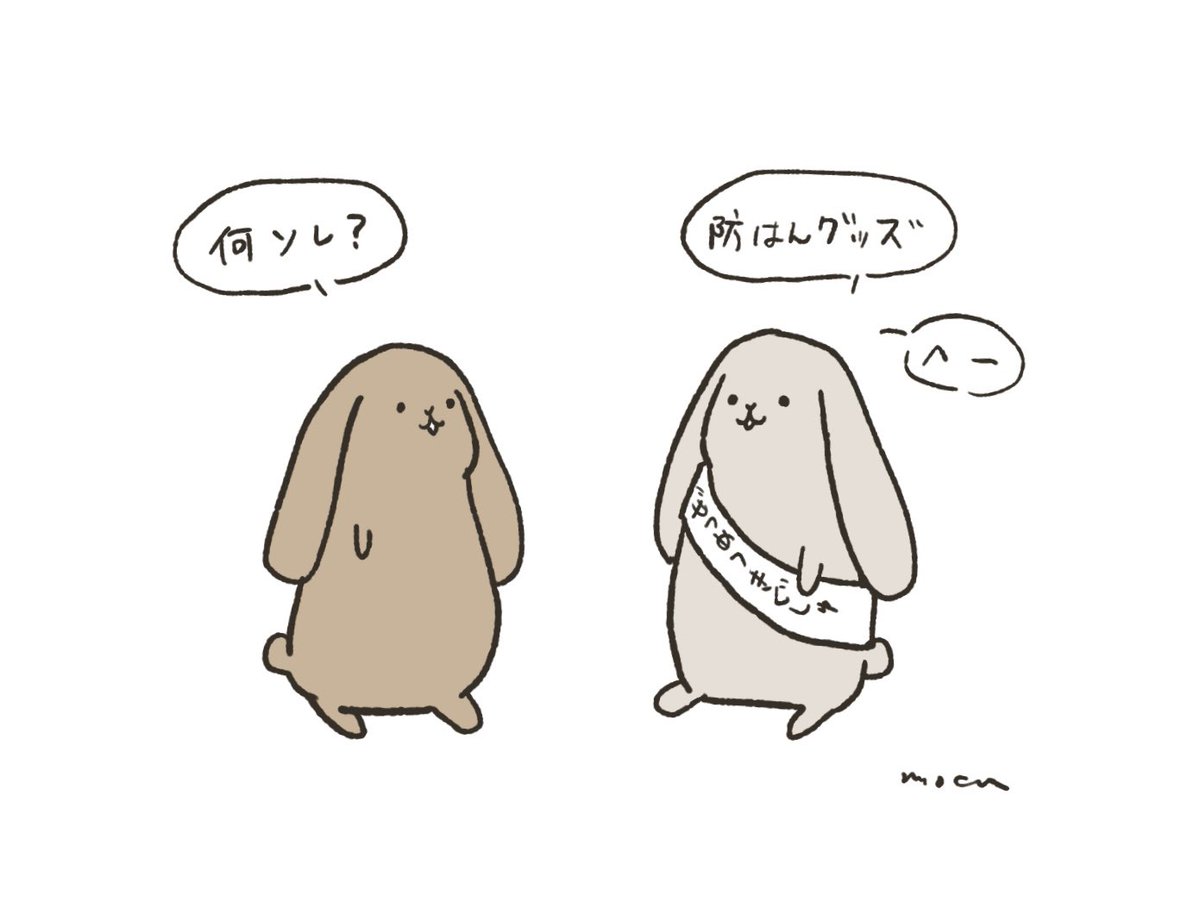 ロップイヤーうさぎたち 