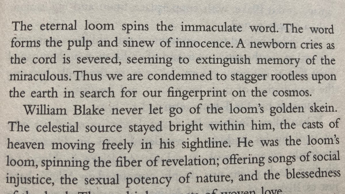 ShaunVarga's tweet photo. The Award for most pretentious twaddle ever published goes to Patti Smith's intro to the poems of William Blake. And will never be topped. https://t.co/UbX47vqhOs