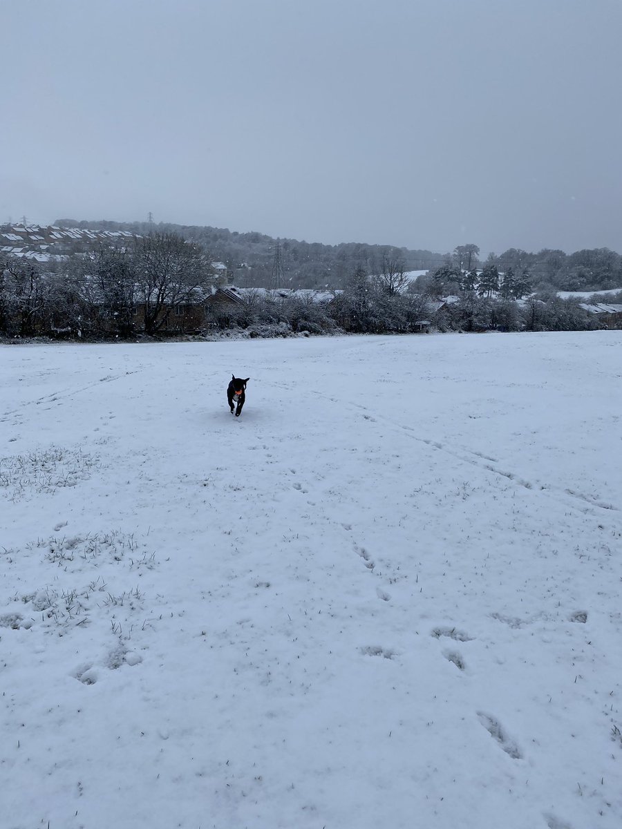 Meganrt55's tweet photo. When your working from home and realise you haven’t been outside since the weekend 🙈 Feeling good after my walk 😁❄️ #RechargeMyBattery #WellbeingDG #workingfromhome https://t.co/hfthXaTzZ4