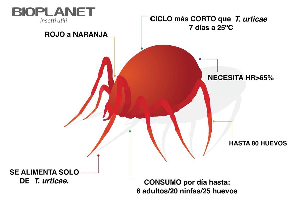 BIOPLANET IBÉRICA tweet media