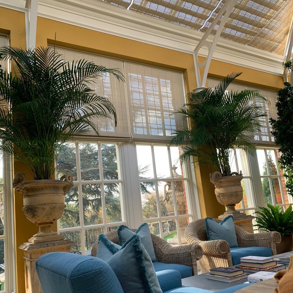 This week is #HouseplantWeekUK - celebrating the best in indoor gardening and helping you choose the right plant for your home. 🌿 We ❤️ the stunning greenery here - it perfectly complements our natural wood-weave French Pinoleum roof and side blinds🌵🌳