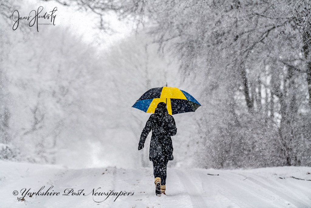 YPinPictures's tweet photo. Heavy #Snowfall across parts of #Northern #England treacherous #driving conditions for #motorist #StayHome #StaySafe #weather @SnowHour #Yorkshire @yorkshirepost @MarisaCashill @OpinionYP #yplive #WeatherWatchers @LeedsNews @sdphotos1 @BenJonesPicEd @a_lastair @UKSnowUpdates https://t.co/joqJmnWZYy