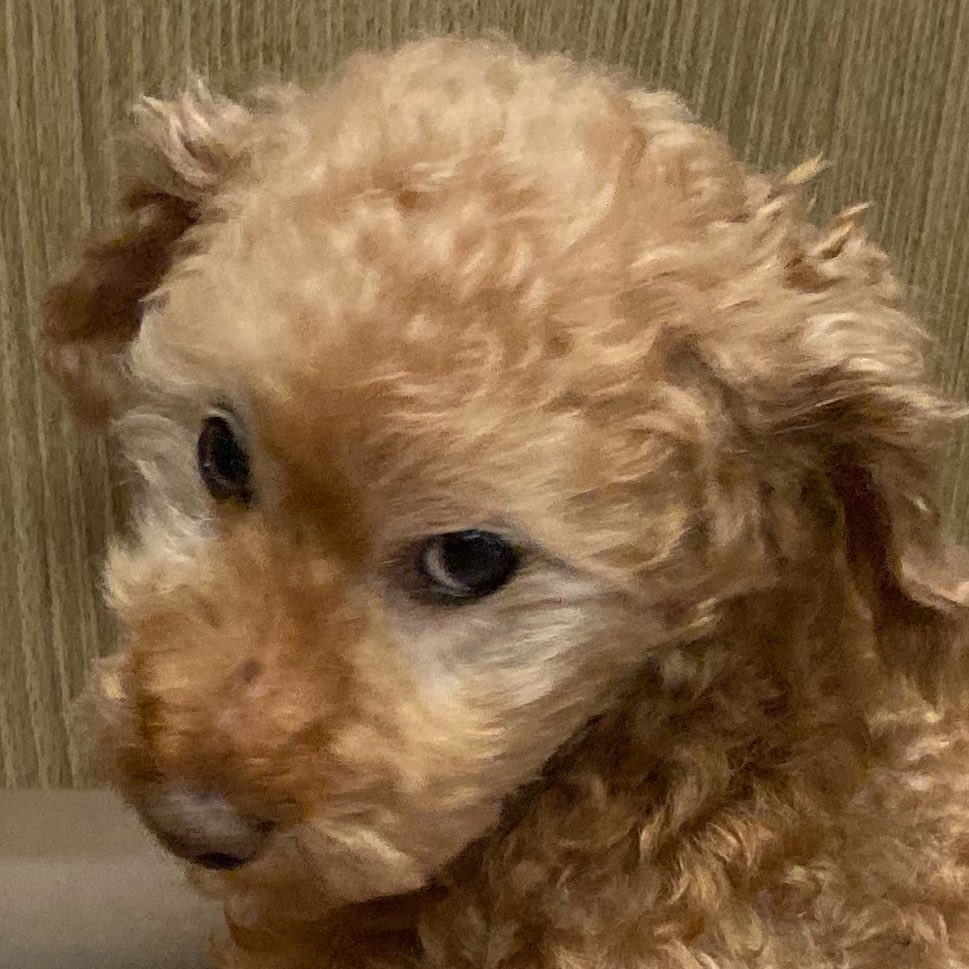 반성 1도 없음 눈 좀 봐