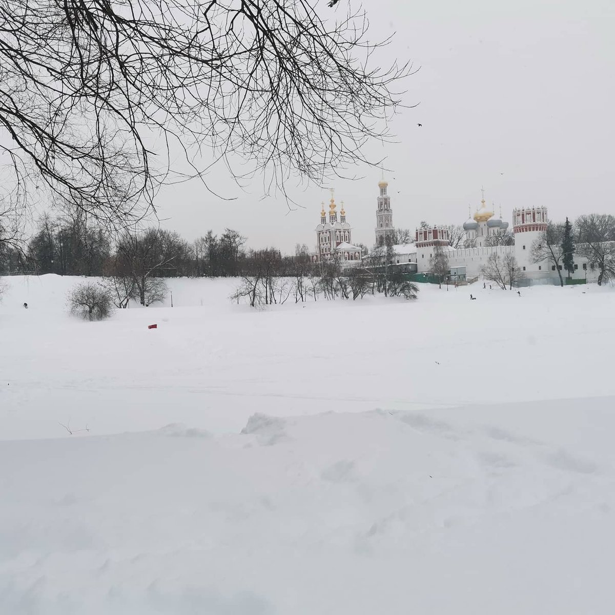 baevgo's tweet image. Real Russian winter, - 14, feels like - 19. Center of Moscow, there are snowdrifts all around. Skis are the best means of transportation) But jogging is hard.