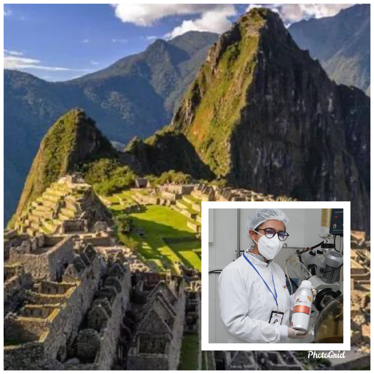 OZugel's tweet photo. FoliuMed completes medical cannabis shipment to Peru. Following our earlier exports to Germany, Australia, USA, UK and Chile, we added Peru as the 6th country we have exported to. https://t.co/GlOrz4I4Bp