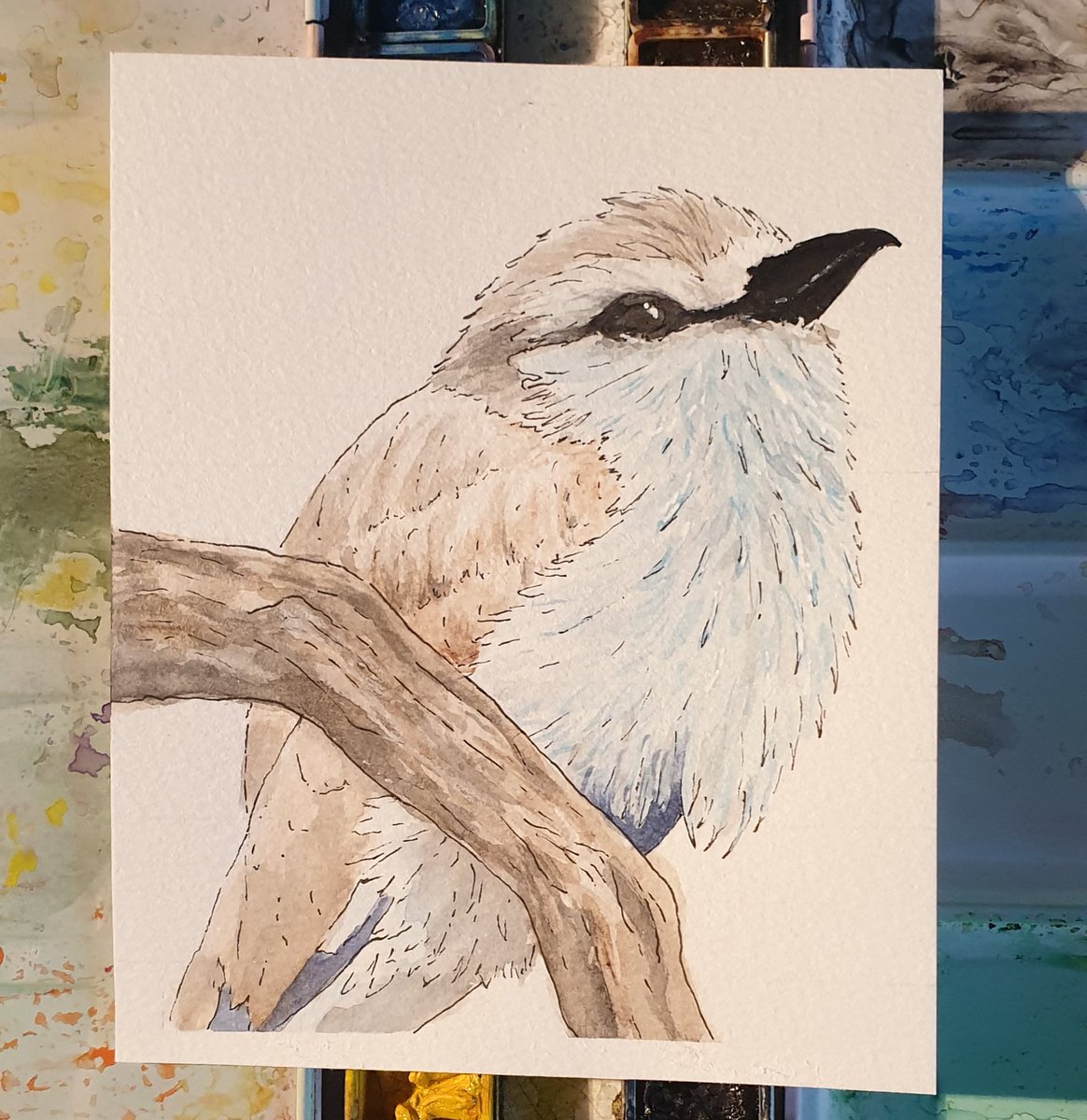 The_Leandsidhe's tweet photo. A new bird painting
https://t.co/oPnOJm1xpt
#painting
#bird #birds #birdpainting #bird_painting #art
#lockdown2020 #lockdown2021 #lockdown_2021
#watercolor #watercolourart #watercolour_art #watercolorart #watercolor_art #paulrubenswatercolour #paulrubenswatercolor https://t.co/5E28TqFeTh