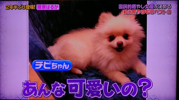 รายการทว 超クソ野郎雑兵key ให แท กแฮช The夜会 2 ว เคราะห ทว ตเตอร กราฟ ก Whotwi