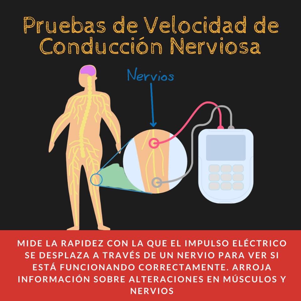 FameChile's tweet photo. ¿Cómo se diagnostica la Atrofia Muscular Espinal #AME ?
Comunícate con nosotros y te orientaremos en el proceso de diagnóstico temprano.
#SúmAME #InformAME #AMEalaLeyRicarteSoto Fuente: @roche https://t.co/2ssMXik5dg