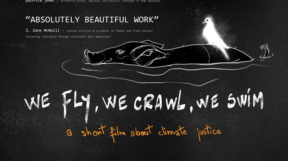 📣 FILM OF THE WEEK 📣
🎬 WE FLY, WE CRAWL, WE SWIM  by  Aron Nor 🇷🇴

#FilmOfTheWeek #1MFF #filminfocus #filmfestival #filmfreeway #filmmaker #filmmakersofinstagram #talent #filmproduction  #monthlyfilmfestival