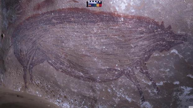CuevasCant's tweet photo. #ArteParietal
Un jabalí, la primera obra figurativa pintada por la humanidad❗
El animal, descubierto en una cueva de la isla indonesia de Sulawesi, tiene al menos 45.000 años, el más antiguo jamás representado.
Lee el artículo completo aquí:
https://t.co/bWwNSRTpwG https://t.co/BjG8X3LCMU