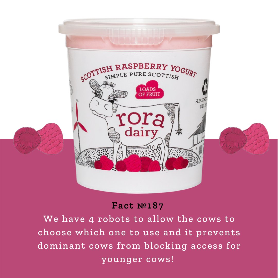 Loads of local fruit!💗
⁣
Having tried many varying amounts of berries to add to this yogurt, we have chosen 15% which we feel gives a true hit of delicious Scottish raspberries! Our raspberries are locally sourced from our friends <a href="/castletonfarm/">Castleton Farm</a>   🥰