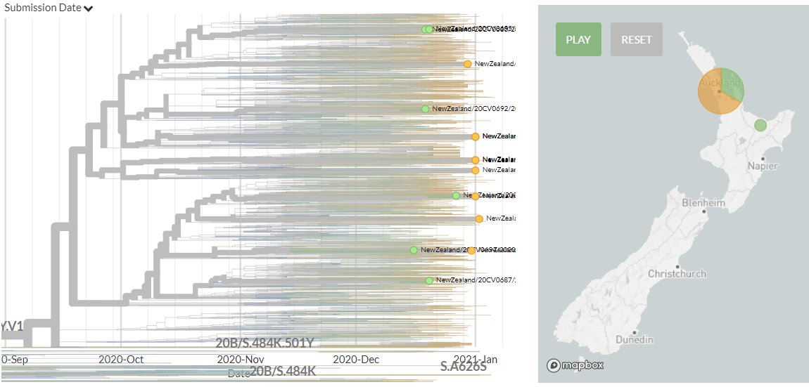 New Zealand has 10 new sequences (orange). All represent separate introductions, though some new sequences are linked together.11/18