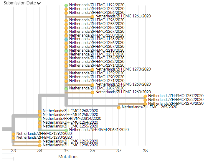 The Netherlands has 34 new sequences (orange). A few of these represent separate introductions, but most form a large cluster with older sequences from the Netherlands, indicating ongoing local transmission.6/18