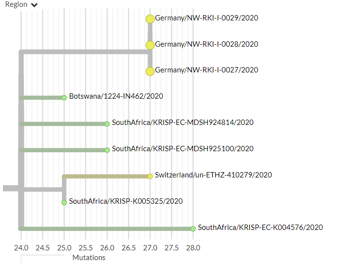 There are 3 new non-South African sequences in 501Y.V2, from Germany for the first time. They are identical, which may indicate a common exposure.17/18