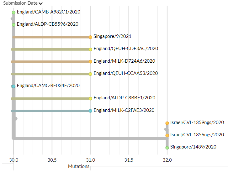 Singapore has 6 new sequences (orange). Though hard to see in zoomed-out view, most of these indicate separate introductions.12/18