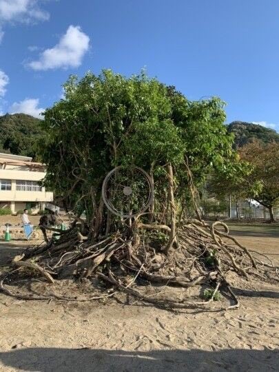 ディング ファン 西野 クラウド