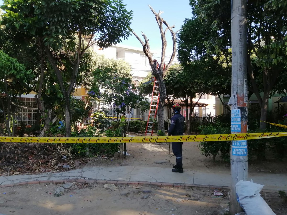 floridabomberos's tweet photo. El día de ayer desde el barrio el Portal Campestre etapa 2 de #Girón realizamos una labor preventiva con el aserrado de un árbol que por su estado fitosanitario fue necesario retirar para mitigar el riesgo que generaba en esta comunidad. #LaborCumplida https://t.co/RfUdjBxM6p