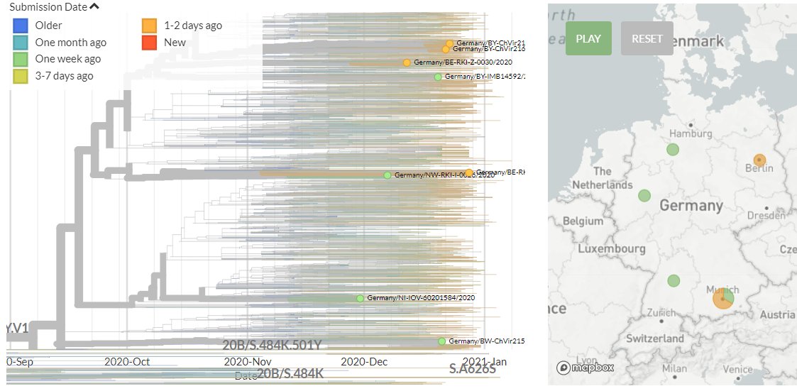 Germany has 4 new sequences (orange). Though hard to see in the zoomed-out view, these all represent separate introductions.14/18