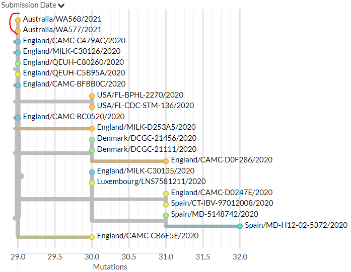 Australia also has 4 new sequences (orange), including the first from Western Australia. These indicate separate introductions, though 2 of the new sequences are identical (marked in red).15/18