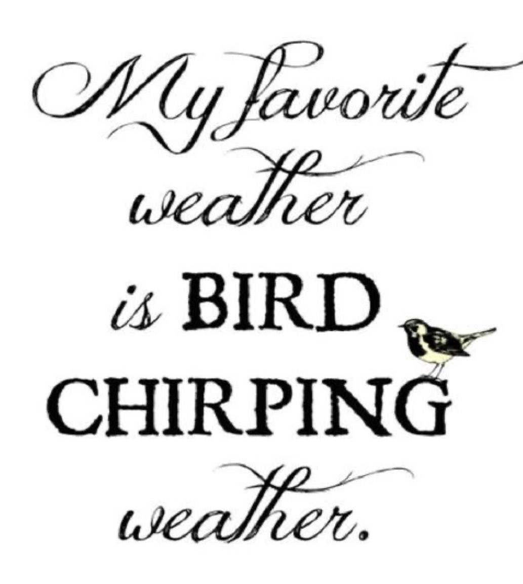 CedarRunRefuge's tweet photo. #thursdaythoughts
A bit chilly, but the birds are still singing with each new day!
What is your favorite bird to watch?
#birdwatching #birdnerd #cedarrunwildlife #cedarrunrefuge #birdchirpingweather https://t.co/OJa74755jo