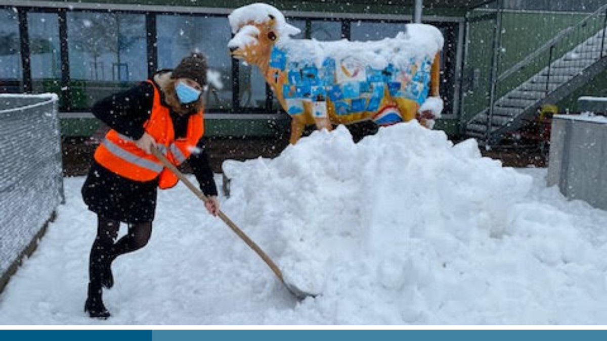 All hands on deck at the Lower School when heavy snowfall meant the campus had to close. Thank you to our wonderful custodians, teachers and staff, including Principal Catherine Jolly, for a great team effort to keep our community safe! #ZISExperience