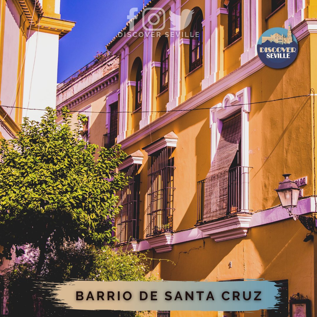 SevilleDiscover's tweet photo. 🔴 Discover the magic of 
🇪🇸 Barrio de Santa Cruz ❤️
🎸🎤🎼🛴📷
#sevilla #seville #barriosantacruz #spain #espagne #españa #travel #trip #voyage #Viajes #avion #plane #tourisme #tourism #instapic #instagood #instafood #instalove #love https://t.co/gWQSL7KyOE