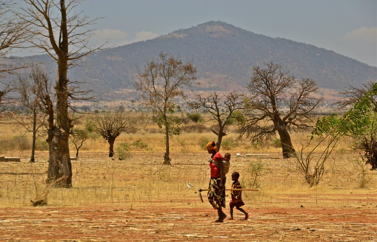 Gund Institute for Environment (@gundinstitute) on Twitter photo #Climate change is hurting children’s diets, #UVM global study finds.
19-nation study links higher temperatures to malnutrition in 5 of 6 regions studied.
READ: go.uvm.edu/zltsp
STUDY: go.uvm.edu/p2n-d
Team: <a href="/MeredithNiles1/">Meredith Niles</a> <a href="/TaylorHRicketts/">Taylor Ricketts</a> <a href="/bpkfish/">brendan fisher</a> <a href="/dbemerydt/">Benjamín</a> #Climate change is hurting children’s diets, #UVM global study finds.
19-nation study links higher temperatures to malnutrition in 5 of 6 regions studied.
READ: go.uvm.edu/zltsp
STUDY: go.uvm.edu/p2n-d
Team: <a href="/MeredithNiles1/">Meredith Niles</a> <a href="/TaylorHRicketts/">Taylor Ricketts</a> <a href="/bpkfish/">brendan fisher</a> <a href="/dbemerydt/">Benjamín</a>