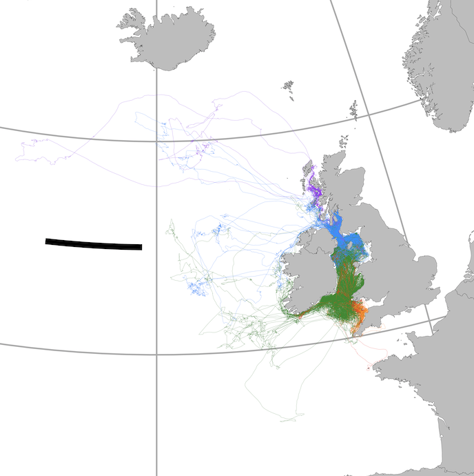 OlliePadget's tweet photo. 2 x Leverhulme funded PhD studentships using GPS tracking to investigate navigation of Manx shearwaters @UniofOxford in the Oxford Navigation Group (@OxZooDept). If you’re interested in #seabirds, #islands and animal #behaviour/#cognition Details here: https://t.co/m5liGOT08x https://t.co/Vkdadsfqwo