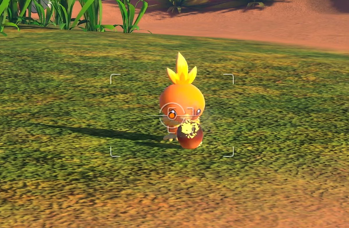 アルス ポケモンスナップ世代だから嬉しい 懐かしすぎる 絵が美麗になってる 人 ゚ 焼きリンゴアチャモ可愛すぎ ポケモンスナップ アルス ポケモンスナップ世代だから嬉しい 懐かしすぎる 絵が美麗になってる 人 ゚ 焼きリンゴアチャモ可愛すぎ ポケモンスナップ