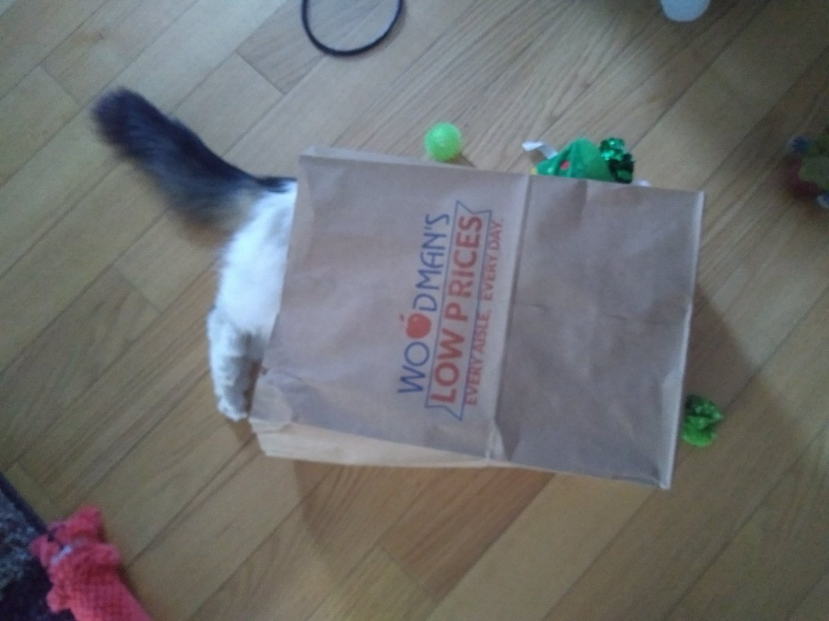 Pizzabeerco's tweet photo. @WoodmansFood the cats in the bag https://t.co/FLdcalDD1Z