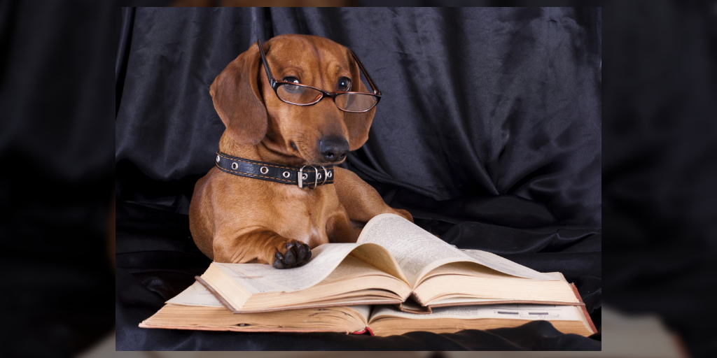 BestBookMonkey's tweet image. Just gotta make it through today and tomorrow, and then it's the weekend!

We've got some sweet book deals today on BestBookMonkey.com

#readingdogs #bookerdigans #midnightreading #amreadingsuspense #amreadinghorror #5amwritersclub #amreadingcrimefiction #readingcommunity