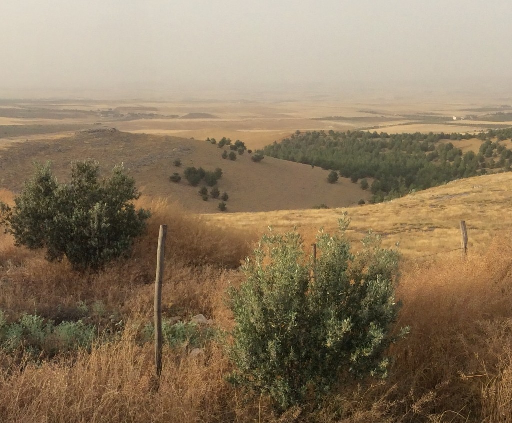 Here,  @EleanorFinley16 discusses how the civilizational fight against hierarchy in all forms—colonialism, capitalism, patriarchy, racism—is embodied in the struggle in Rojava. http://unevenearth.org/2015/08/social-ecology-kurdistan-the-origins-of-freedom/