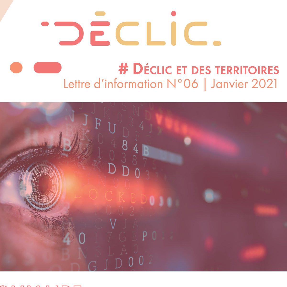 2️⃣0️⃣2️⃣1️⃣ La lecture de ce début d'année >> Notre #newsletter <a href="/declic_asso/">Déclic</a> N°6 du mois de janvier est enfin disponible sur notre site internet : asso-declic.fr/nos-actualites… 

#mutualisation #numérique #Manifeste #OPSN #partenariat #FranceRelance #webinaire #RencontresNationales